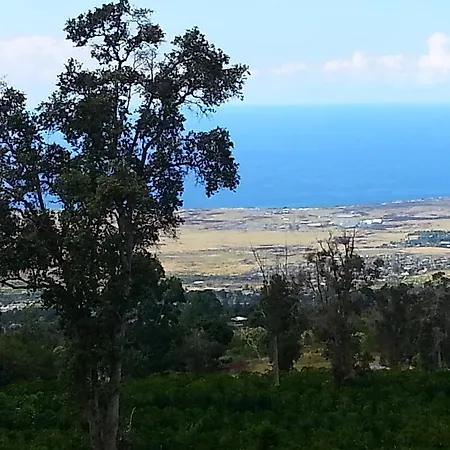 Mango Sunset Bnb Inn At Lyman Organic Kona Coffee Farms